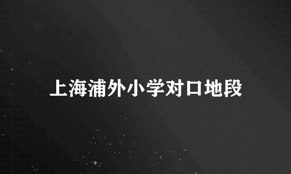 上海浦外小学对口地段
