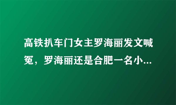 高铁扒车门女主罗海丽发文喊冤,罗海丽还是合肥一名小学语文高级教师合肥市永红路小学教导处副主任