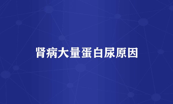 肾病大量蛋白尿原因