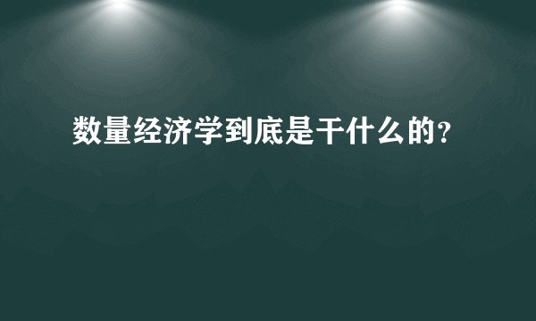 数量经济学到底是干什么的？
