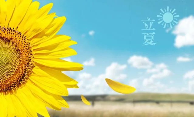 2020立夏节气图片大全 立夏高清图片壁纸2020