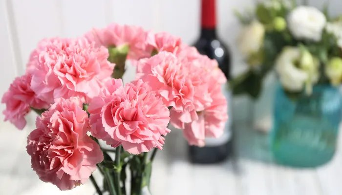 代表友谊的花 代表友谊的花束有哪些