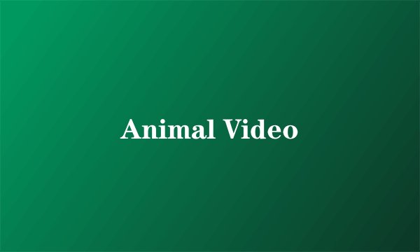 Animal Video