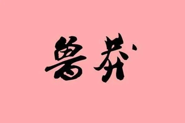 鲁莽的拼音