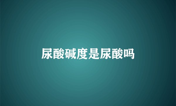尿酸碱度是尿酸吗
