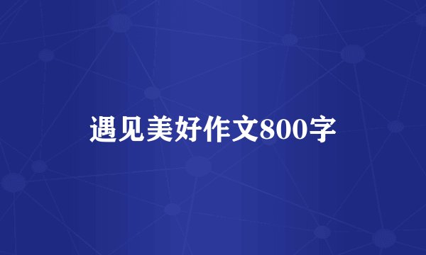 遇见美好作文800字