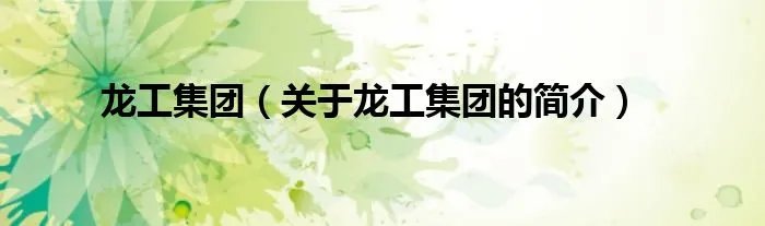 龙工集团（关于龙工集团的简介）