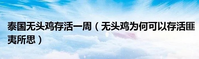 泰国无头鸡存活一周(无头鸡为何可以存活匪夷所思)