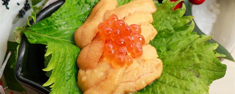 白子是什么