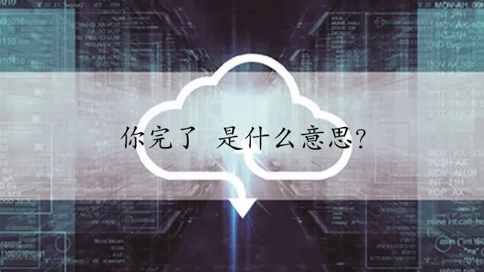 你完了 是什么意思?