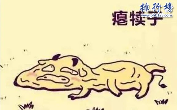 东北四大神兽：东北四大神兽和八大犊子萌萌哒