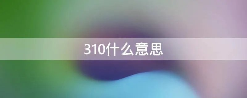 310什么意思