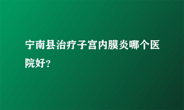 宁南县治疗子宫内膜炎哪个医院好？