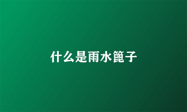什么是雨水篦子