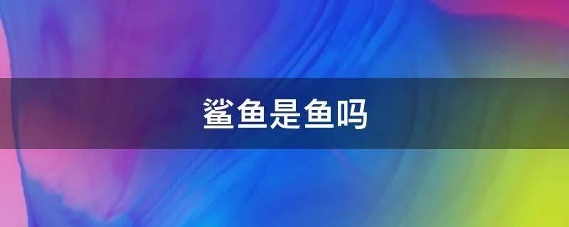 鲨鱼是鱼吗