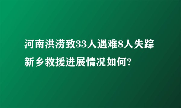 河南洪涝致33人遇难8人失踪 新乡救援进展情况如何?