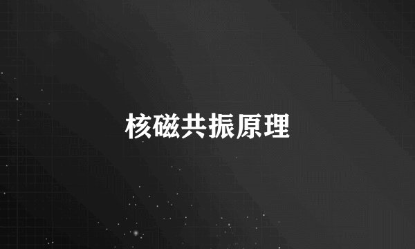 核磁共振原理
