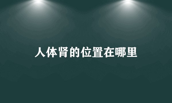 人体肾的位置在哪里