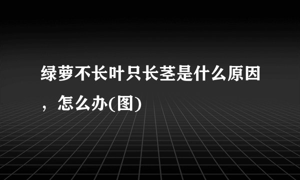 绿萝不长叶只长茎是什么原因,怎么办(图)