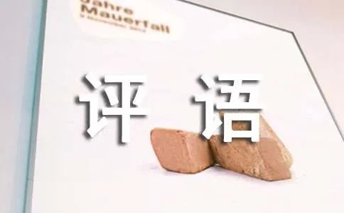 淘宝好评评语