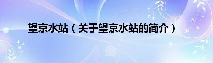 望京水站（关于望京水站的简介）