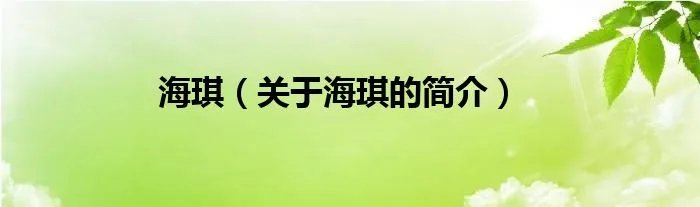 海琪（关于海琪的简介）