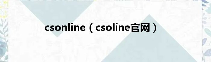 csonline(csoline官网)