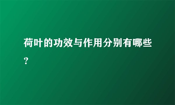 荷叶的功效与作用分别有哪些？