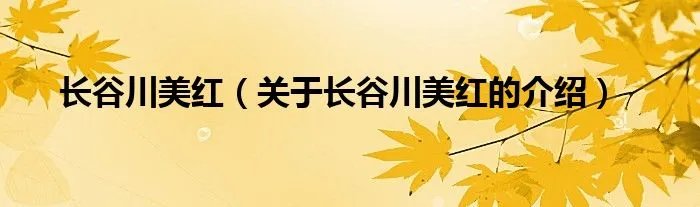 长谷川美红（关于长谷川美红的介绍）