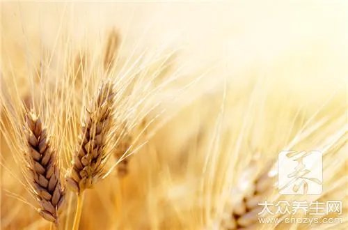 大麦若叶怎么吃减肥效果最好