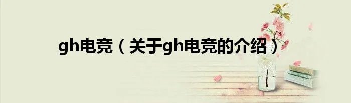 gh电竞（关于gh电竞的介绍）
