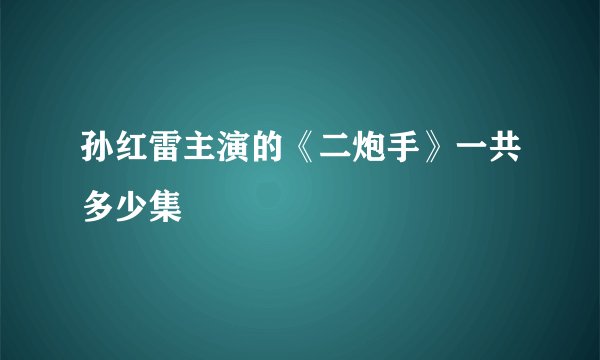 孙红雷主演的《二炮手》一共多少集