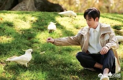 为什么朱一龙微博那么多人留言?