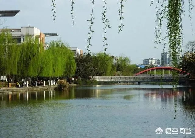 西南交通大学怎么样?