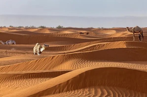 世界最大的十大沙漠 阿拉伯沙漠上榜,第十是我国最大的沙漠
