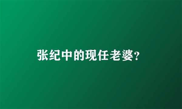 张纪中的现任老婆？