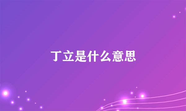 丁立是什么意思