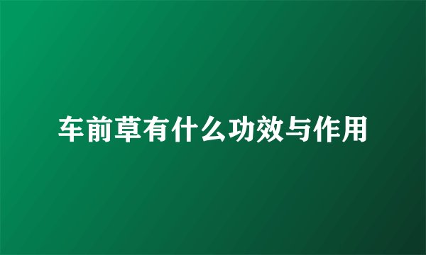 车前草有什么功效与作用