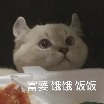富婆饿饿饭饭表情包大全