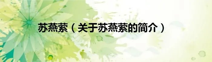 苏燕萦（关于苏燕萦的简介）