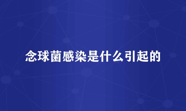 念球菌感染是什么引起的