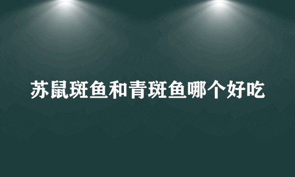 苏鼠斑鱼和青斑鱼哪个好吃