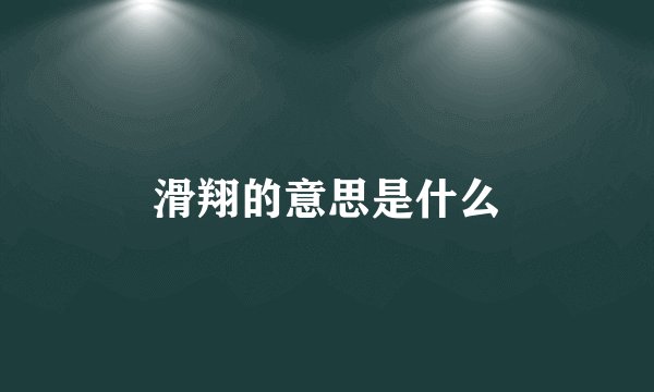 滑翔的意思是什么