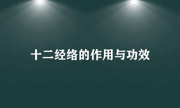 十二经络的作用与功效