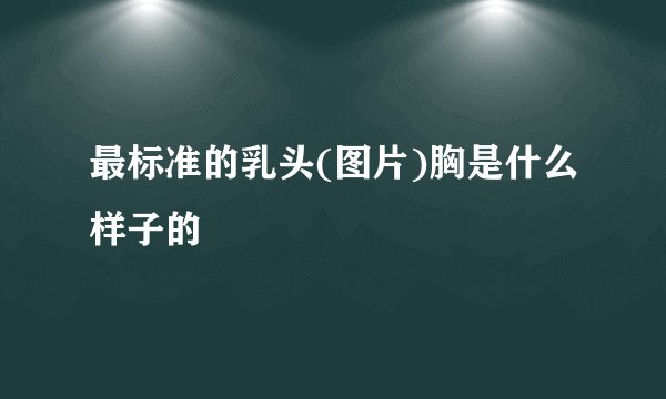最标准的乳头(图片)胸是什么样子的