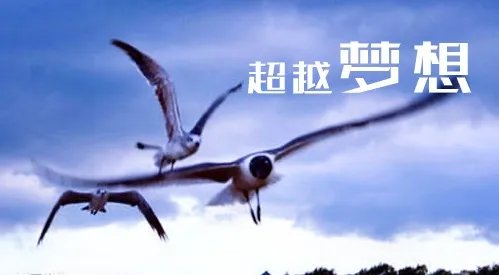 2020浙江理工大学录取分数_浙江理工大学各省录取分数线查询