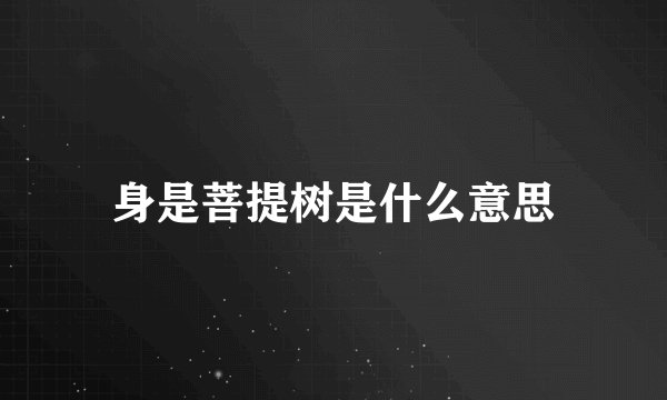 身是菩提树是什么意思