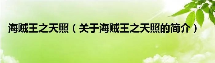 海贼王之天照(关于海贼王之天照的简介)