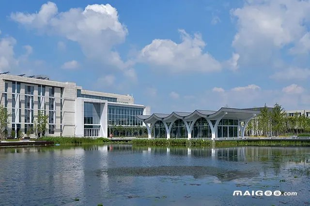 中外合作办学的大学有哪些 2022中外合作办学的大学排行榜