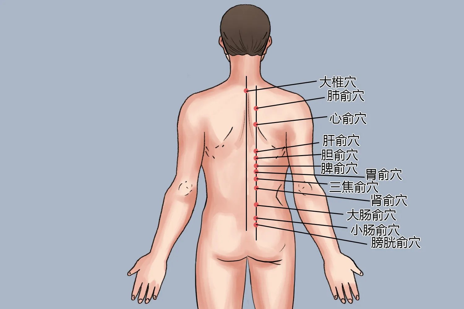 火大拔罐子拔什么位置图解